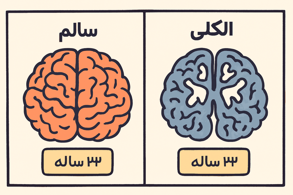 مغز شما کوچک میشود