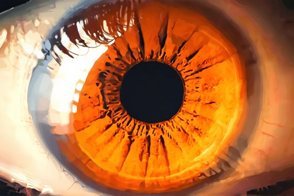 غذا و چشمان شما