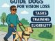 نکاتی که باید در مورد سگ‌های راهنما برای افراد نابینا بدانید