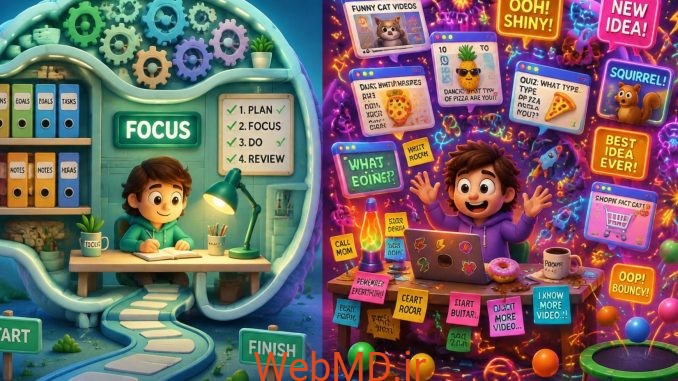 مغز ADHD در مقابل مغز غیر ADHD