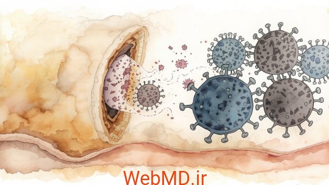 درک عفونت سیتومگالوویروس (CMV) در افراد مبتلا به HIV
