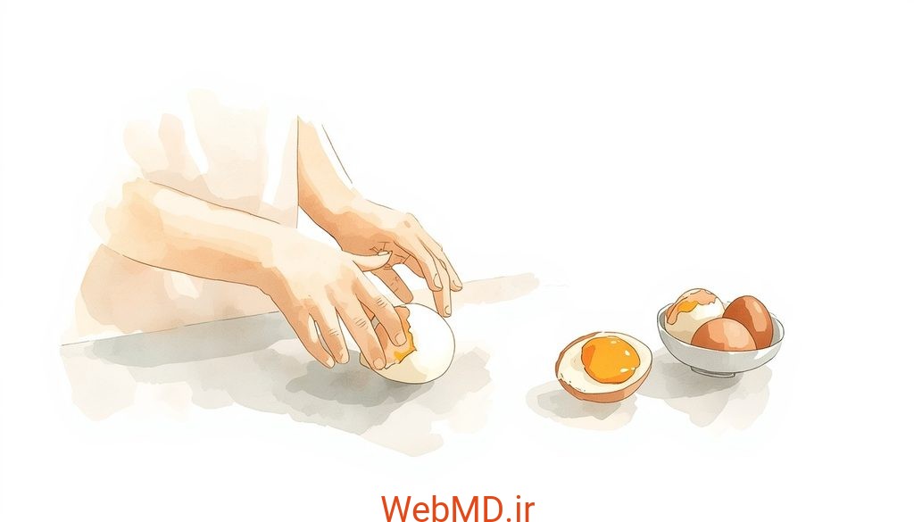 تخممرغ آبپز حاوی مواد مغذی فراوانی است؛ از ویتامینهای گروه B گرفته تا روی. علاوه بر این، خوردن آن برای کودکان میتواند سرگرمکننده باشد.