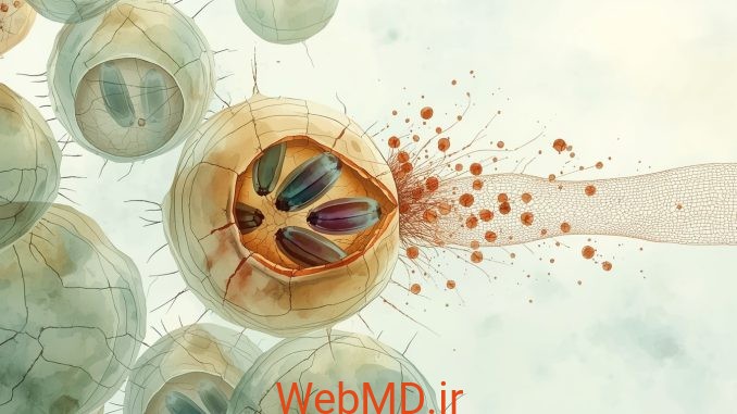 کریپتوسپوریدیوز (Cryptosporidiosis)