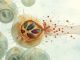 کریپتوسپوریدیوز (Cryptosporidiosis)